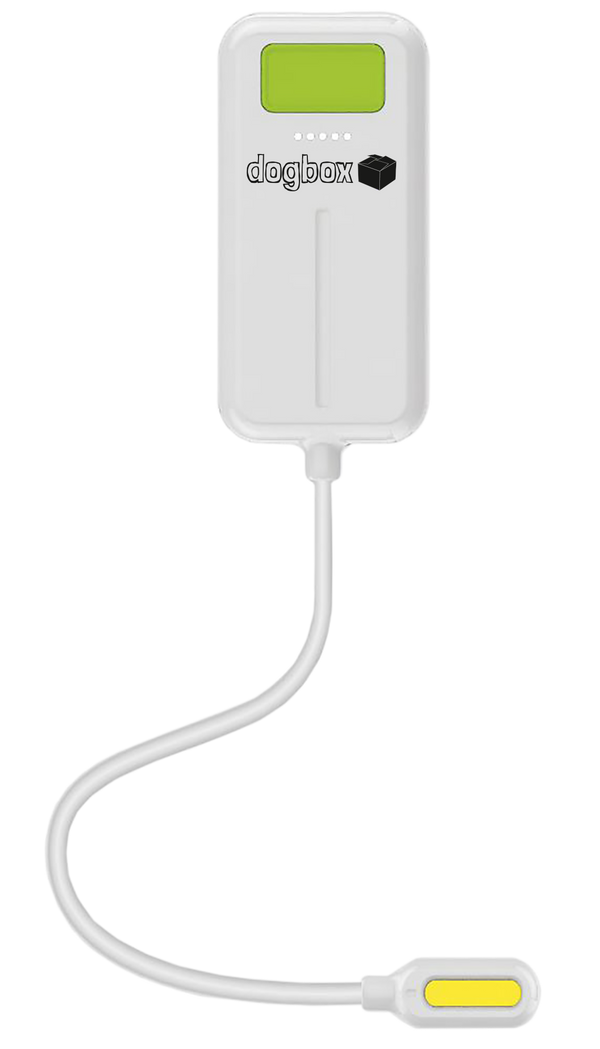 QyXwGtBU_600x.png