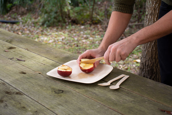 U-12573_BambooDinnerSet_InUse2_2019-01-03_600x.jpg