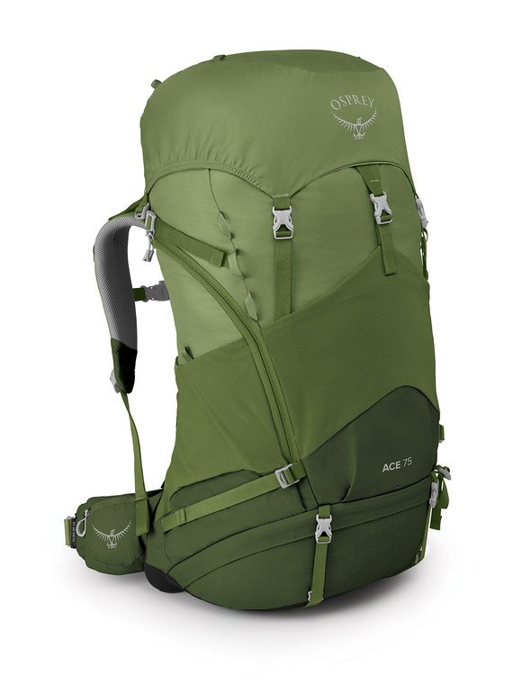 ace75s20_s20_side_venturegreen_600x.jpg