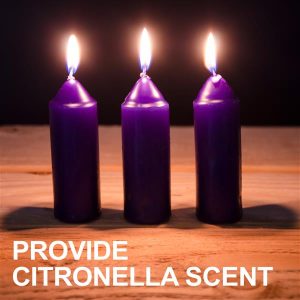 l-can3pk-c_uco_9_hour-candles_citronella-scent_600x.jpg